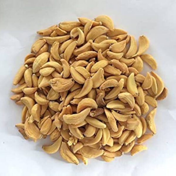 41iIR+LL3UL._UF1000,1000_QL80_